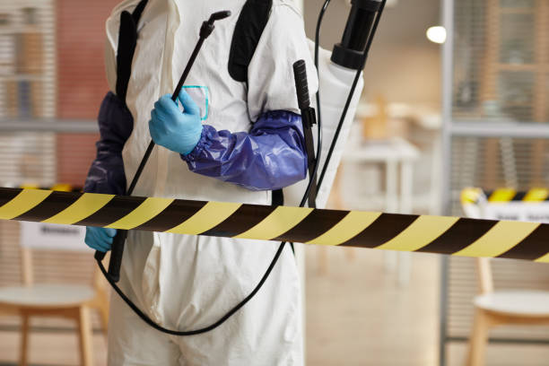 Professional Sewage Cleanup technician working in Brookville, NY